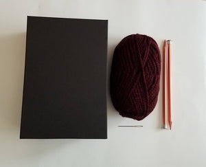 Square Hat Knit Kit, Easy Knit Project, Knitting Subscription Box, Cat Ears Beanie Knit Kit, Double Point Tobaggan Kit