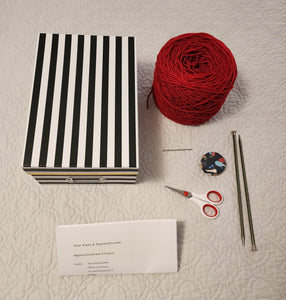 3 Project Beginner Knit Kit, Young Person's Starter Knit Kit, Winter Accesories Knit Project Box
